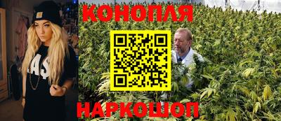 гашик Баксан