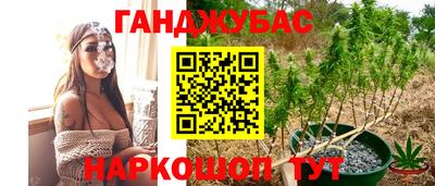 гашик Баксан