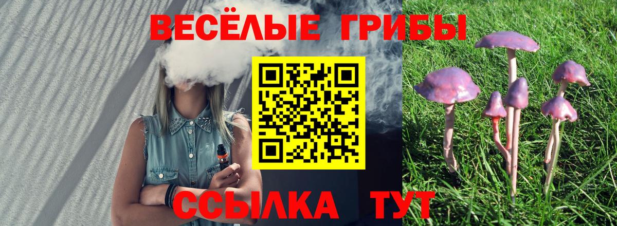 Владикавказ  Галлюциногенные грибы Psilocybine cubensis  Вход с VPN  Галлюциногенные грибы Magic Shrooms 
