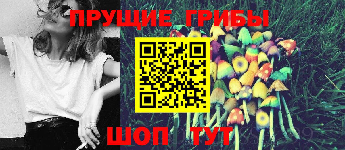 Псилоцибиновые грибы MAGIC MUSHROOMS Владикавказ